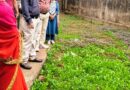 माना बस्ती के तालाब बनेंगे पक्षी विहार, प्रवासी पक्षियों को मिलेगा सुरक्षित प्राकृतिक आवास